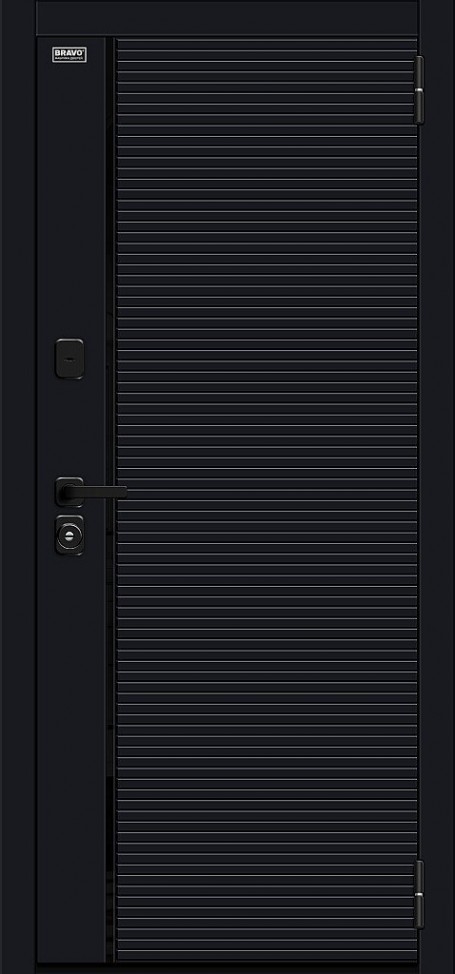 Входная дверь Лайнер-3, цвет: Total Black/Off-white