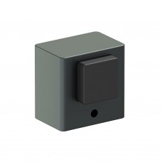 SFZ-100, цвет: SGraphite